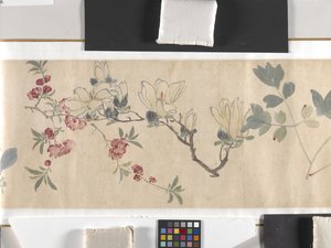 Coloured Flowers by Zhimian Zhou