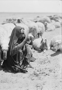 A young bedouin shepherdess spinning near Beersheba by . .