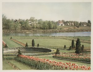 American Suburban Scene