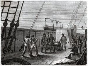 Telegraphic Undersea Cable