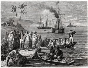 Telegraphic Undersea Cable