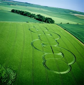 Crop circle in barley field, Beckhampton, Wiltshire, 5th June 2005