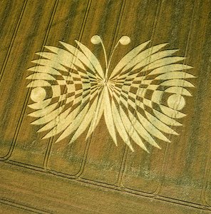 Crop circle in wheat field, Hailey Wood, Ashbury, Oxfordshire by Ferdinand Georg Waldmuller