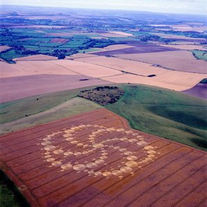 Crop circle in wheat field, Milk Hill, Alton Priors, Vale of Pewsey, Wiltshire