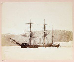 Arctic Expedition (1875-1876) by Captain George Nares: H by Frederick (attr. to) Barnard