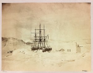 Arctic Expedition (1875-1876) by Captain George Nares: H