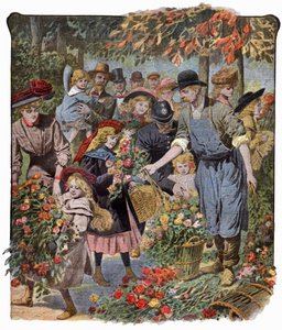 Flowers Distribution by . .