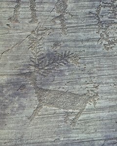 Petroglyphs on Rock by Isabel Redie