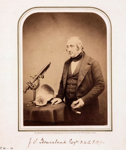 James Scott Bowerbank, British Geologist by Ferdinand Georg Waldmuller