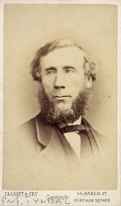 John Tyndall, Irish Physicist by Frederick (attr. to) Barnard