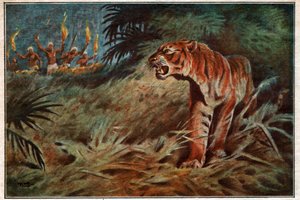 Man-Eater Tiger