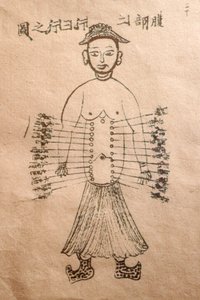 Museum of Traditional Vietnamese Medicine, The channels and vessels, Book of acupuncture, Ho Chi Minh City, Vietnam
