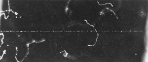 Particle Imaging, Cloud Chamber The Track of a Fast Beta-Ray, Early 20th Century