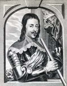 Portrait of Ferdinand II de 
