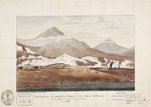 Sea-Leopards at Deception Island, New South Shetland, 7 January