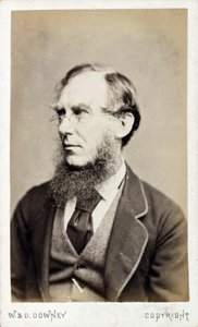 Sir Joseph Dalton Hooker, British Botanist, Late 19th Century by Ferdinand Georg Waldmuller