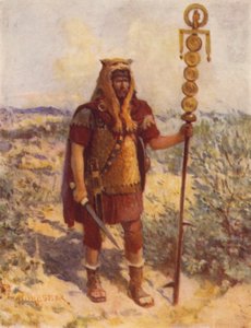 A Standard-Bearer in the Field
