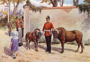 Wildebeests (or White-tailed Gnu), Pets of the South Wales Borderers by after Edgar Alfred Holloway