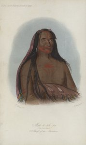 Mah-to-toh-pa, The Four Bears, 2nd Chief of the Mandans (aquatint) by after George Catlin