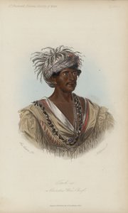 Tuch-ee, a Cherokee War Chief by after George Catlin