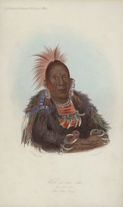 Wah-ro-nee sah, The Surrounder, An Ottoe Chief