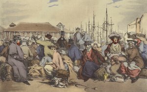 Fish Market