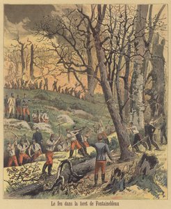 Fire in the Forest of Fontainebleau