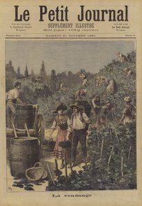 The Grape Harvest