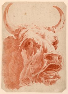 Head of a Cow by after Jean Baptiste Huet