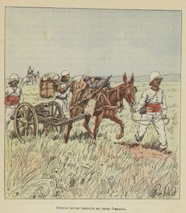 Hova Cannons Brought to the French Camp