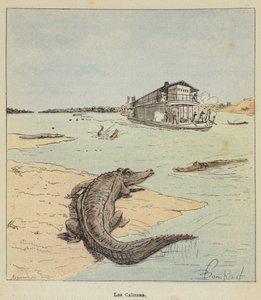 The Caimans by after Louis Charles Bombled