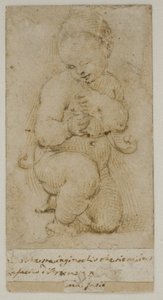 The Infant John the Baptist by after Raphael