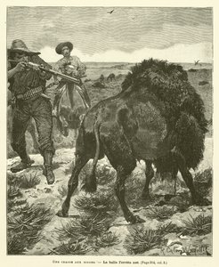 A Bison Hunt by after Richard Caton II Woodville