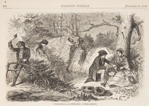 Christmas – Gathering Evergreens