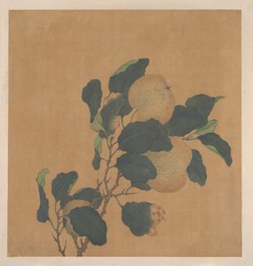 Branch of Tree with Fruit by anonymous 