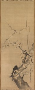 Sparrows on Blossoming Plum by attributed to Kano Tan’yū