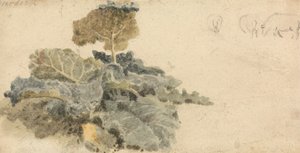Study of Burdocks by attributed to Peter DeWint