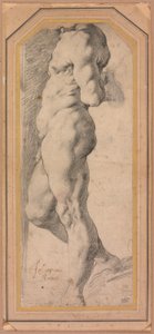 Study of a Standing Male Nude
