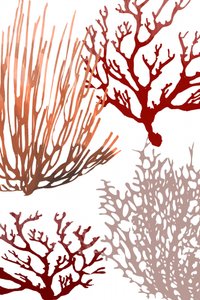 Abstract Ocean Corals