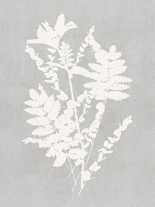 Botanical Silhouette Study by cartissi