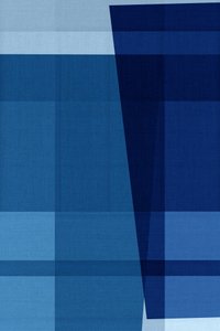Deep Blue Abstraction