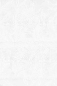 Delicate Frost Patterns by cartissi
