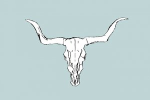 Desert Bull Skull by cartissi