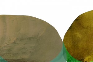 Earthy Abstract Shapes