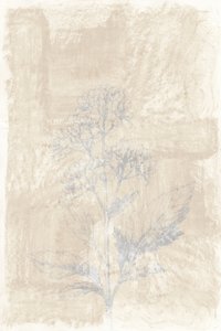 Faded Botanical Sketch by cartissi