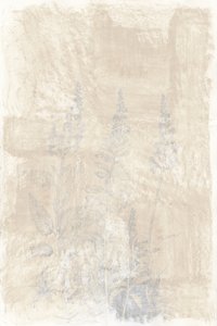 Faded Botanical Sketches