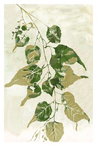 Fresh Green Leaves by cartissi