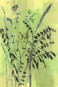 Green Botanical Silhouettes by cartissi