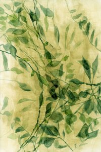 Green Watercolor Leaves by cartissi