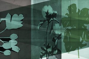 Layered Botanical Shadows